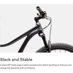 Cannondale 27.5/29 F Trail 5 2021 19 Cannondale 27.5/29 F Trail 5 2021 -Cannondale Bike Sale 3CzMJRcuxGi6xKgwPrnSbOb8k