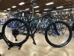 Cannondale Trail 5 - Graphite 2021