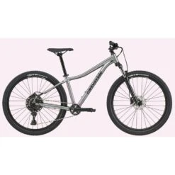 Cannondale 27.5/29 F Trail 5 2021