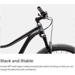 Cannondale 27.5/29 F Trail 5 2021 18 Cannondale 27.5/29 F Trail 5 2021 -Cannondale Bike Sale U Ct6p4byuGxr8LdYqJT7Fd9g