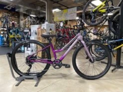 Cannondale Treadwell 2 Remixte Lavender LTD 2022