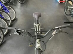 Cannondale Treadwell 2 Remixite LTD Raw 2022 -Cannondale Bike Sale on wp iKeEujFT7LESwgjRhSM